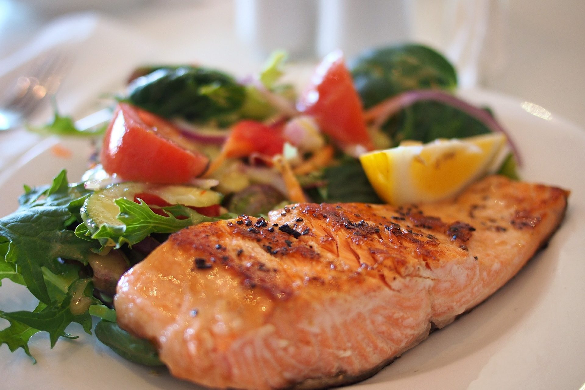 salmon-518032_1920